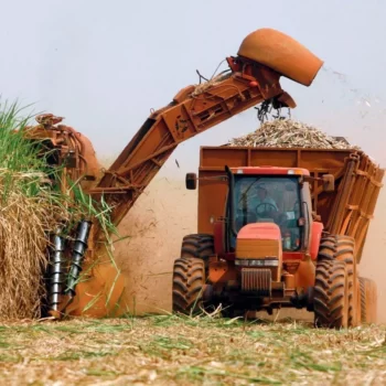 122294 Superávit agronegócio paulista cresce 20% em janeiro