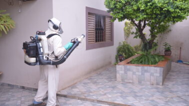 <strong>Cidade tem mais de mil casos de dengue e uma pessoa internada</strong>
