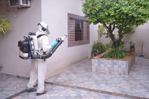<strong>Barretos contabiliza 2 casos positivos de dengue</strong> <strong>Barretos contabiliza 2 casos positivos de dengue</strong>