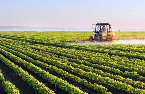 Números da produção foram divulgados pelo Instituto de Economia Agrícola Agro SP tem superávit de 28,6% no período de janeiro a maio
