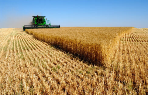 O levantamento foi realizado com base nas informações do Ministério da Agricultura Uma nova determinação entrará em vigor a partir deste ano para os proprietários rurais. A partir de 20 de novembro, será obrigatório o georreferenciamento de propriedades rurais com menos de 25 hectares.