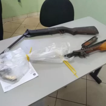 96745 Polícia Civil apreende armas em propriedade rural
