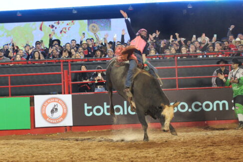 Touros da PBR Arthur Antonielle foi o melhor da noite na final da PBR Brazil