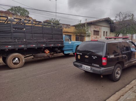 Caminhão utilizado no transporte do gado furtado também foi apreendido quadrilha